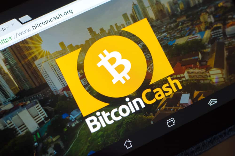 Bitcoin Cash Payments Decline As Roger Ver Struggles To Convert True - 