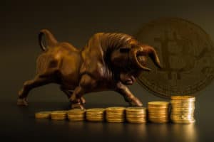 Bull market in crypto currency. It 's alternate investment for investor to allocate who like high risk and expect high return. Source: shutterstock.com