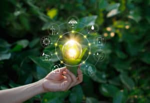 Hand holding light bulb against nature on green leaf with icons energy sources for renewable, sustainable development. Ecology concept. Elements of this image furnished by NASA. - Image