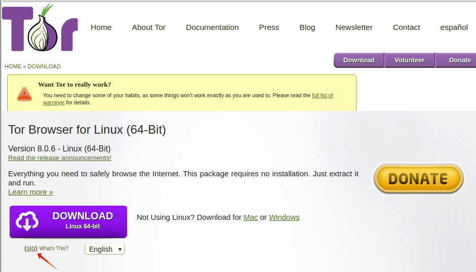 how to use tor browser properly